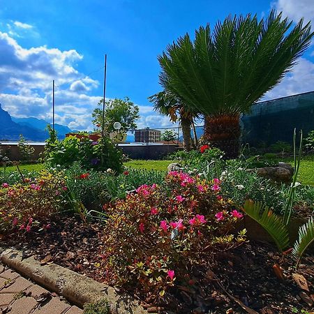 Le Rose Sul Lago Pescate Eksteriør bilde
