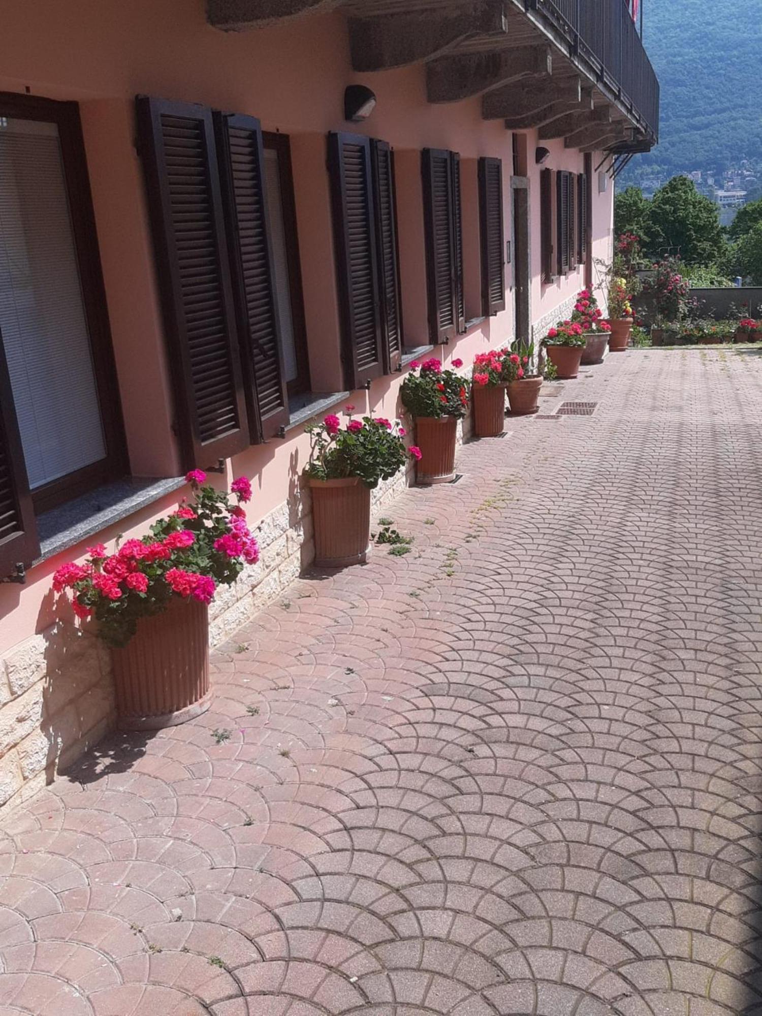 Le Rose Sul Lago Pescate Eksteriør bilde