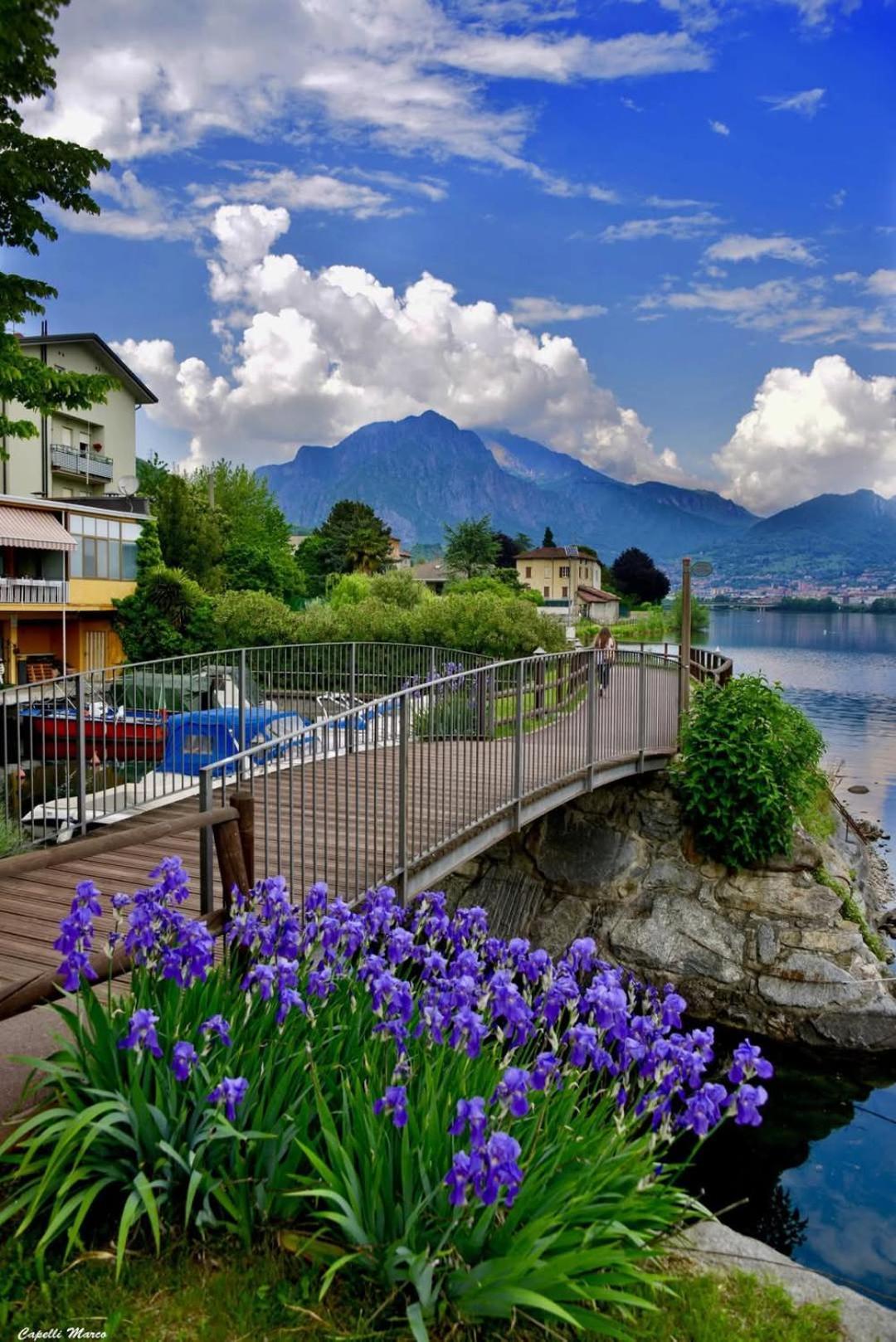 Le Rose Sul Lago Pescate Eksteriør bilde